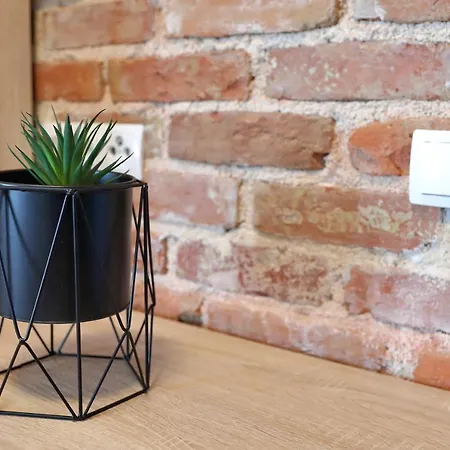 Stone Fantasy בית נופש *